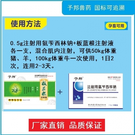 【予邦】重癥痘瘡爛蹄（0.5g注射用氨芐西林鈉+板藍(lán)根注射液）-抗菌消炎 口瘡爛蹄 豬牛羊孕畜可用