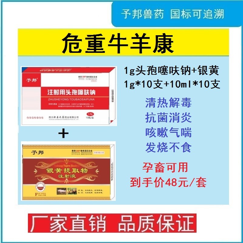 【予邦】危重豬牛羊康組合（1g注射用頭孢噻呋鈉+銀黃提取物注射液）-抗菌消炎 清...