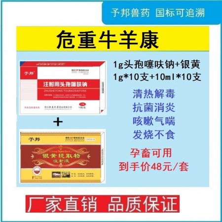 【予邦】危重豬牛羊康組合（1g注射用頭孢噻呋鈉+銀黃提取物注射液）-抗菌消炎 清熱解毒豬牛羊孕畜可