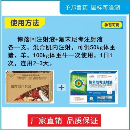 【予邦】重癥腹瀉組合（博落回注射液+5ml氟苯尼考注射液）細(xì)菌性腹瀉,，病毒性腹瀉 黃白痢拉稀腹瀉