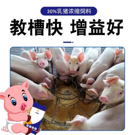【中美普克】30%乳猪浓缩料仔猪保育料含鱼粉猪场用小猪断奶过渡饲料