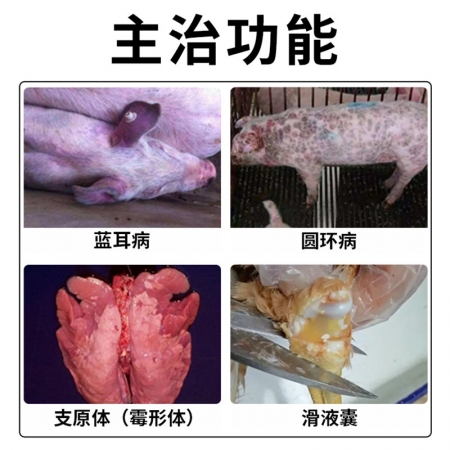 【施比龙】优乐欣5%酒石酸泰万菌素预混剂1000g/袋圆环蓝耳病毒呼吸道疾病支原体回肠炎