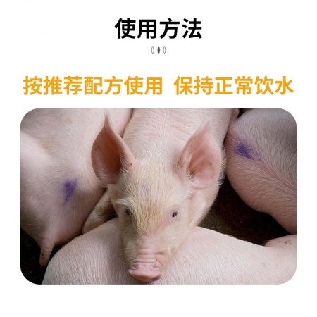无抗饲料“炎大”C558—乳猪50%浓缩料 20kg/包