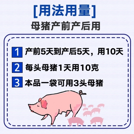  【金葵花】奶多多300g/袋母猪产后催奶下奶母猪保健提高奶水质量
