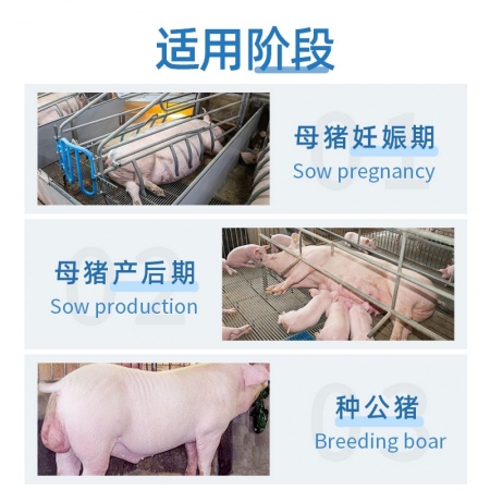 【丹美旺】  提高母猪发情  改善公猪精液质量