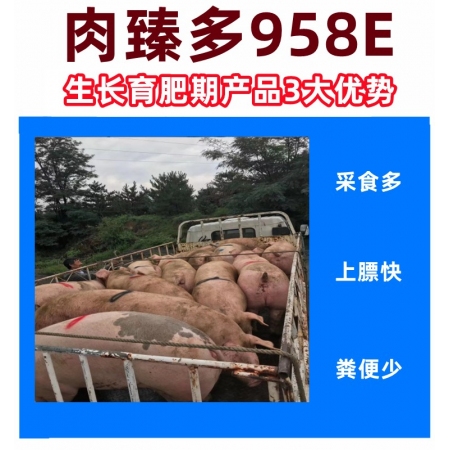 【安健达】中猪料-肉臻多8%生长育肥猪复合预混合饲料958E