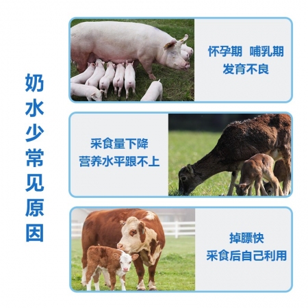 【牧医师】乳力源 兽用母猪增奶饲料添加剂牛羊催奶催乳猪发奶下奶