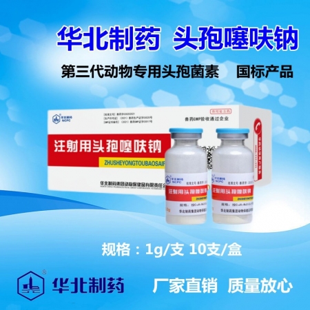 【华北制药】三代头孢 注射用头孢噻呋钠（1g*10支) 纯粉 抗菌消炎 保健 产后消炎 链球菌 副猪