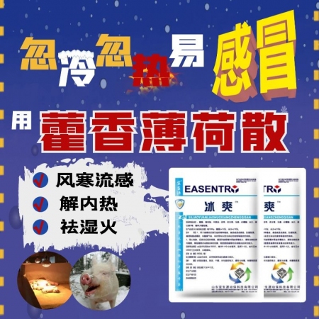【宜生源】藿香薄荷散500g/袋 解热祛火流感风寒感冒缓解发烧发热便秘冰爽冬季保健增强抵抗力板青颗粒