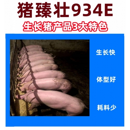 【安健达】猪臻壮4%生长猪复合预混合饲料934E