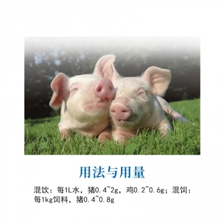 【博莱药业】硫酸黏菌素可溶性粉250g兽用抗菌抗生素药肠道药猪鸡药