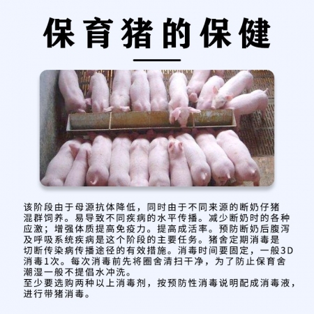 【畜典】保育猪保健组合套餐 复方阿莫西林500g+泰万菌素250g+畜蓝净500g 蓝耳圆环