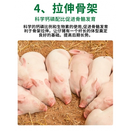 【元宵大促】8%仔猪预混料保育期幼猪育肥催肥小猪乳猪饲料