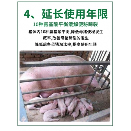 【元宵大促】4%哺乳母猪预混合饲料产后下奶催乳恢复快适用于母猪免疫力差