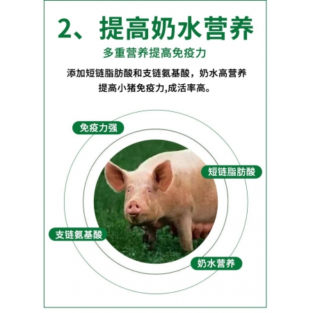【元宵大促】4%哺乳母猪预混合饲料产后下奶催乳恢复快适用于母猪免疫力差