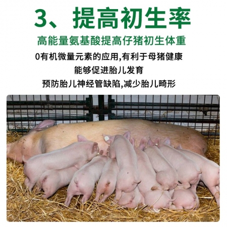 【元宵大促】4%怀孕母猪预混合饲料增加产仔数母猪妊娠用延长母猪使用年限