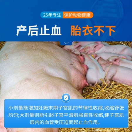 【中龙神力】缩宫素注射液猪用催产针母猪用产后止血难产兽药  1ml×10支/盒