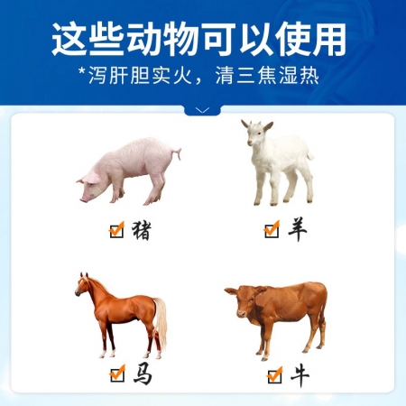 【中龍神力】龍膽瀉肝散 中獸藥保肝護腎 去火通便 理氣散寒 清熱解毒 目赤腫痛瀉利膽實火促進胃腸排空