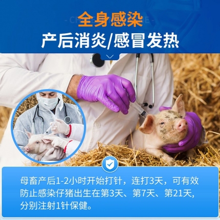 【中龍神力】凍干頭孢 注射用頭孢噻呋鈉 超低溫二次凍干晶體型 速溶 抗菌消炎 產后炎癥全身性感染