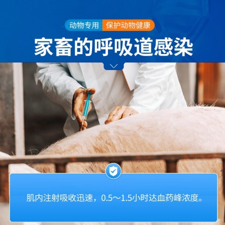 【中龍神力】硫酸卡那霉素注射液 豬敗血癥 喘氣病 呼吸道感染 咳嗽 針劑 10ml×10支/盒 獸藥
