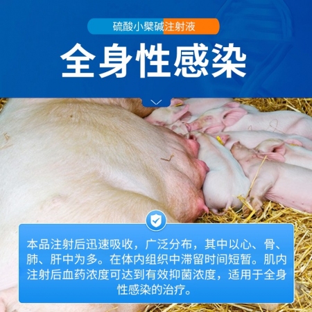 【中龍神力】硫酸小檗堿注射液獸藥止痢腹瀉腸炎豬牛羊藥紅痢獸用