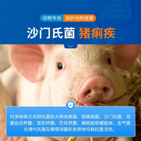 【中龙神力】硫酸安普霉素注射液 兽用猪牛羊拉稀腹泻黄白痢疾 10ml×10支/盒
