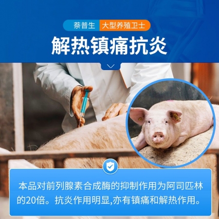 【中龙神力】萘普生注射液 解热镇痛，治疗风湿关节炎，猪跛行等症，10ml×10支/盒