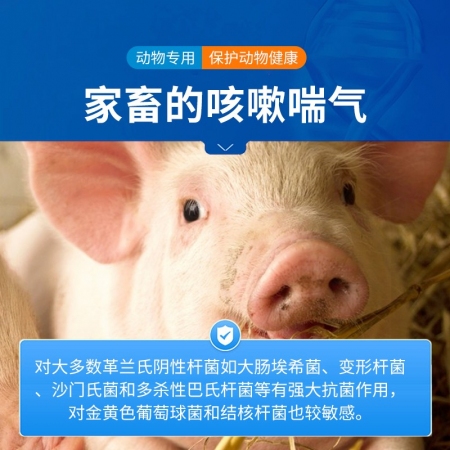 【中龍神力】硫酸卡那霉素注射液 豬敗血癥 喘氣病 呼吸道感染 咳嗽 針劑 10ml×10支/盒 獸藥