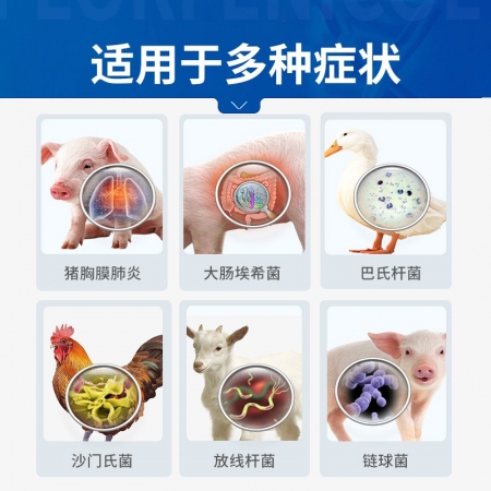 【中龍神力】凍干頭孢 注射用頭孢噻呋鈉 超低溫二次凍干晶體型 速溶 抗菌消炎 產后炎癥全身性感染
