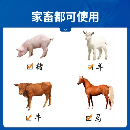 【中龍神力】硫酸卡那霉素注射液 豬敗血癥 喘氣病 呼吸道感染 咳嗽 針劑 10ml×10支/盒 獸藥