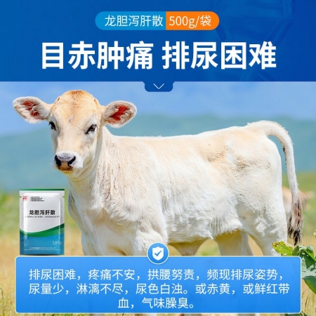 【中龍神力】龍膽瀉肝散 中獸藥保肝護腎 去火通便 理氣散寒 清熱解毒 目赤腫痛瀉利膽實火促進胃腸排空