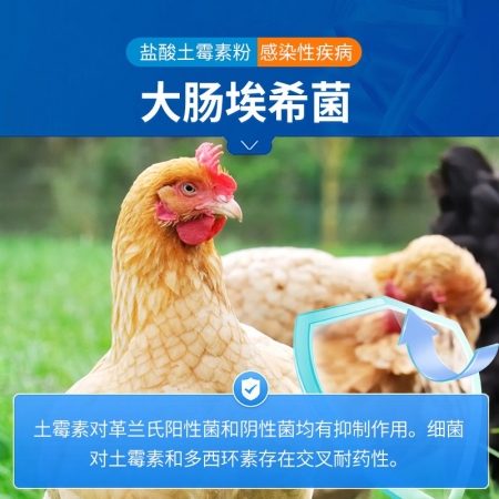 【中龍神力】10%鹽酸土霉素可溶性粉500g/袋 豬牛羊獸藥雞禽用產后消炎止黃白痢拉稀腹瀉