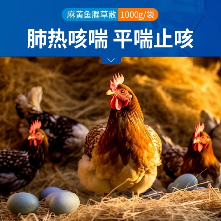【中龍神力】麻黃魚腥草散 1kg/袋 清熱宣肺 平喘止咳 豬呼吸道中藥正品獸藥