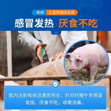 【中龍神力】柴胡注射液10ml*10支，清熱解毒，感冒發(fā)燒，可稀釋頭孢，國(guó)標(biāo)獸藥