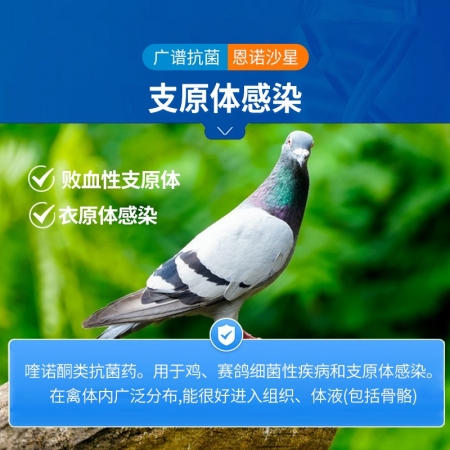 【中龍神力】恩諾沙星可溶性粉 100g/袋 副豬、鏈球菌、關節腫大，痢疾國標可追溯