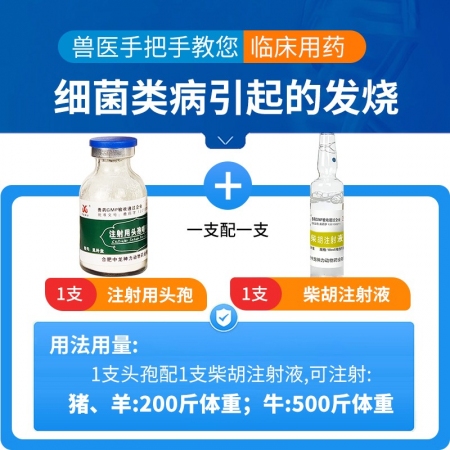 【中龍神力】柴胡注射液10ml*10支，清熱解毒，感冒發(fā)燒，可稀釋頭孢，國(guó)標(biāo)獸藥