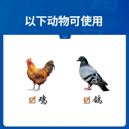 【中龍神力】恩諾沙星可溶性粉 100g/袋 副豬、鏈球菌、關節腫大，痢疾國標可追溯