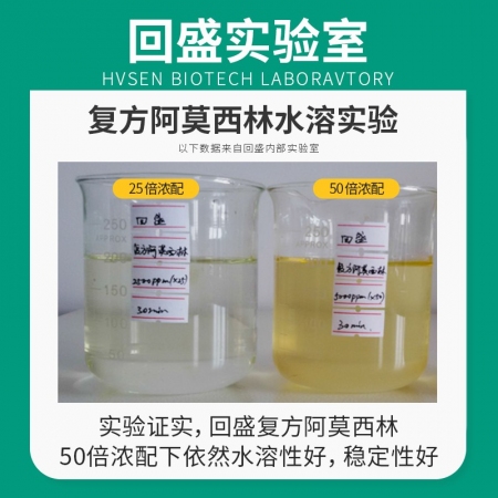 【回盛生物】復方阿莫西林粉250g 抗菌消炎呼吸道母豬保健產后消炎黃白痢豬丹毒副豬鏈球菌 