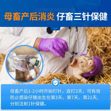 【中龍神力】注射用頭孢噻呋鈉純粉 抗菌消炎 母豬產(chǎn)后消炎 仔豬保健 呼吸道病 孕畜可用 10支/盒