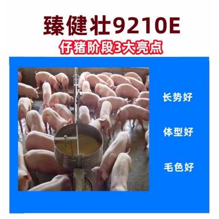 【安健達(dá)】臻健壯10%仔豬復(fù)合預(yù)混合飼料9210E