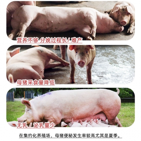 【安琪酵母】福邦混合型饲料添加剂利舒乐Ⅰ型 500g 母猪泌乳提升