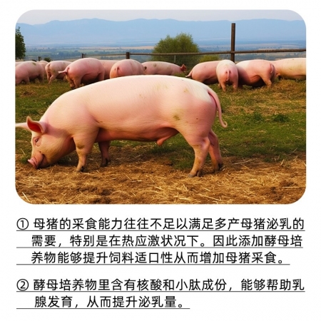 【安琪酵母】福邦混合型饲料添加剂利舒乐Ⅰ型 500g 母猪泌乳提升