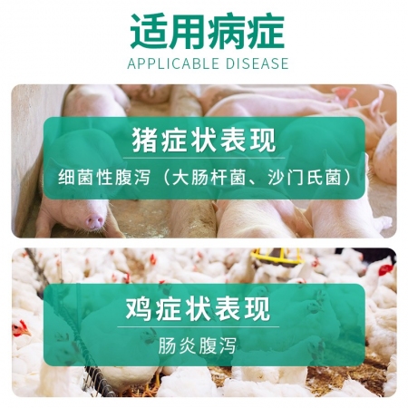 【回盛生物】10%硫酸黏菌素可溶性粉500g豬黃白痢仔豬腹瀉雞拉稀獸藥
