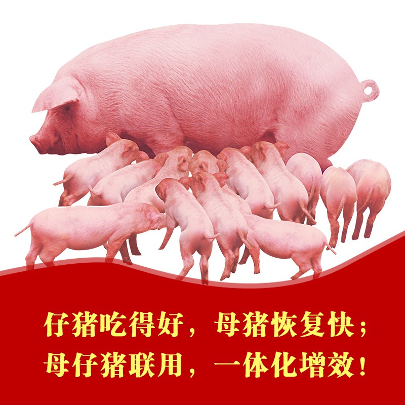 膠元 母仔豬專用鐵 母豬仔豬專用補鐵 規?；】叼B殖 仔豬死淘少 母豬恢復快 母仔豬聯用 一體化增效
