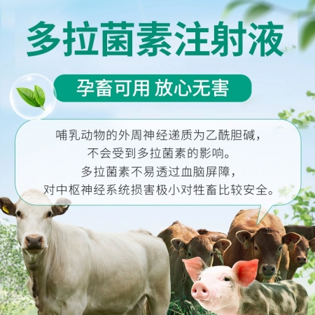 【回盛生物】#多拉菌素注射液100ml 兽用线虫疥螨猪驱虫药体内外寄生虫孕畜可用兽药