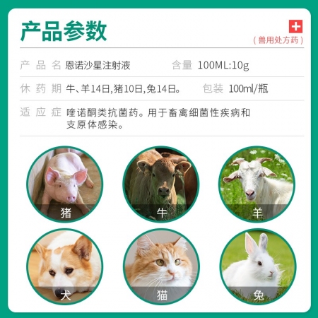 【回盛生物】10%恩諾沙星注射液100ml 痢諾星 治療仔豬黃白痢斷奶腹瀉腸炎支原體呼吸道病抗菌消炎
