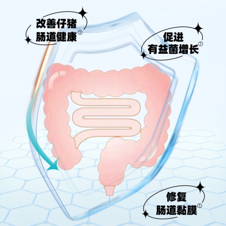 【安琪酵母】安琪福邦混合型饲料添加剂泻宁宝200g 调节肠道菌群