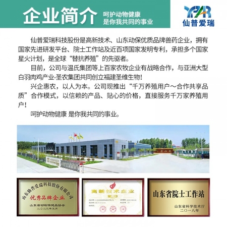仙普愛瑞【藍耳凈化包】多種急性熱毒病或急性炎癥清熱解毒扶正