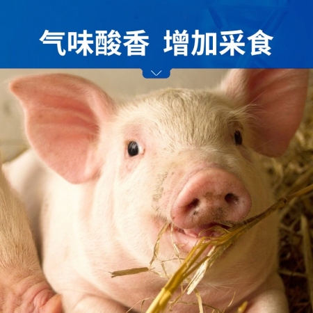 【中龍神力】五糧發酵有機酸 豬用亞健康防便秘增食量調腸道500g/袋 不含抗生素 無任何副作用