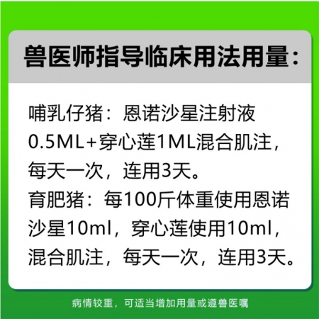 【會德】頑固腹瀉套裝穿心蓮恩諾沙星斷奶仔豬腸炎呼吸道感染母豬保健病毒性腹瀉拉稀腹瀉止痢黃白痢止瀉